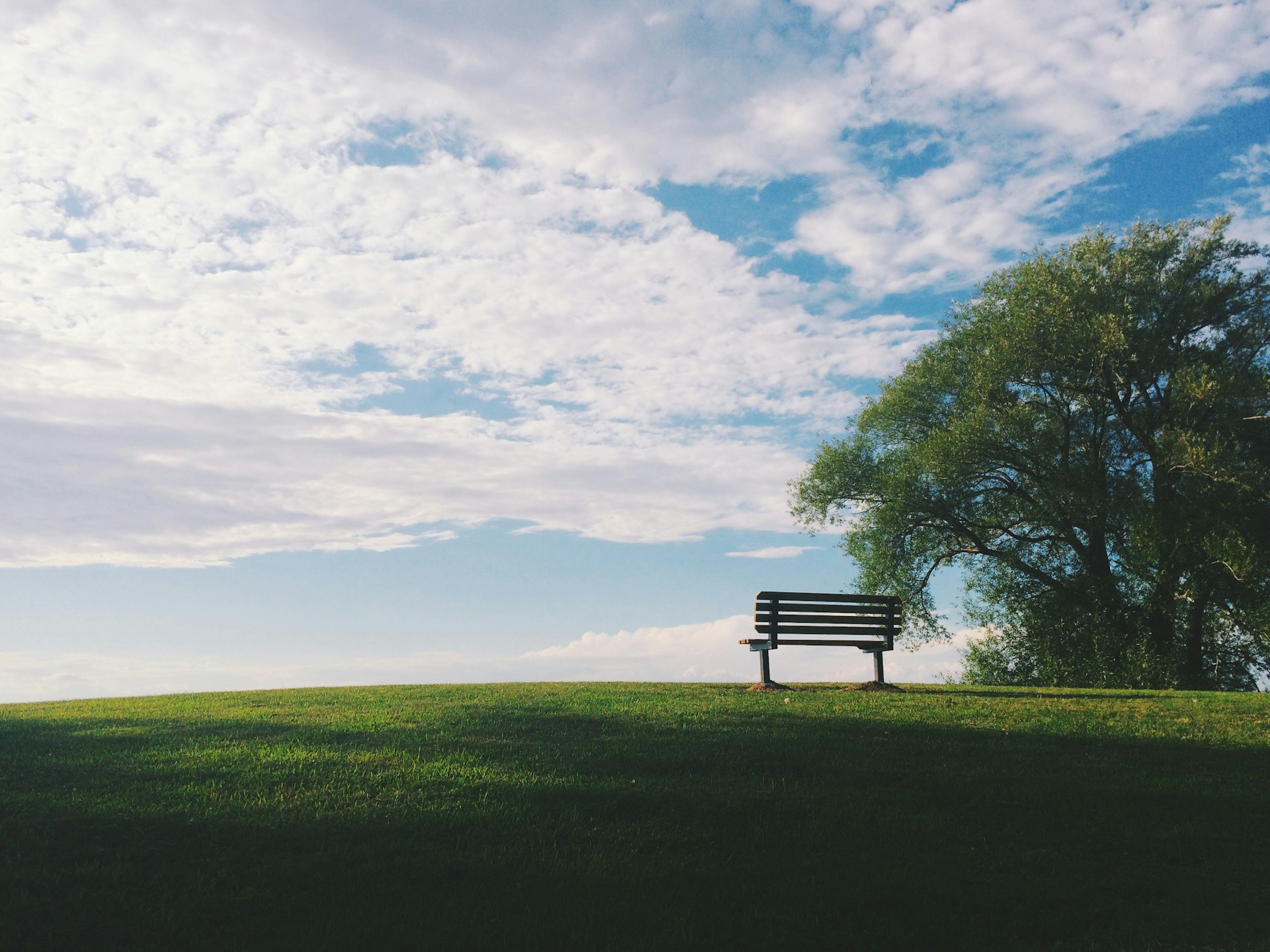 Lone bench on a hill