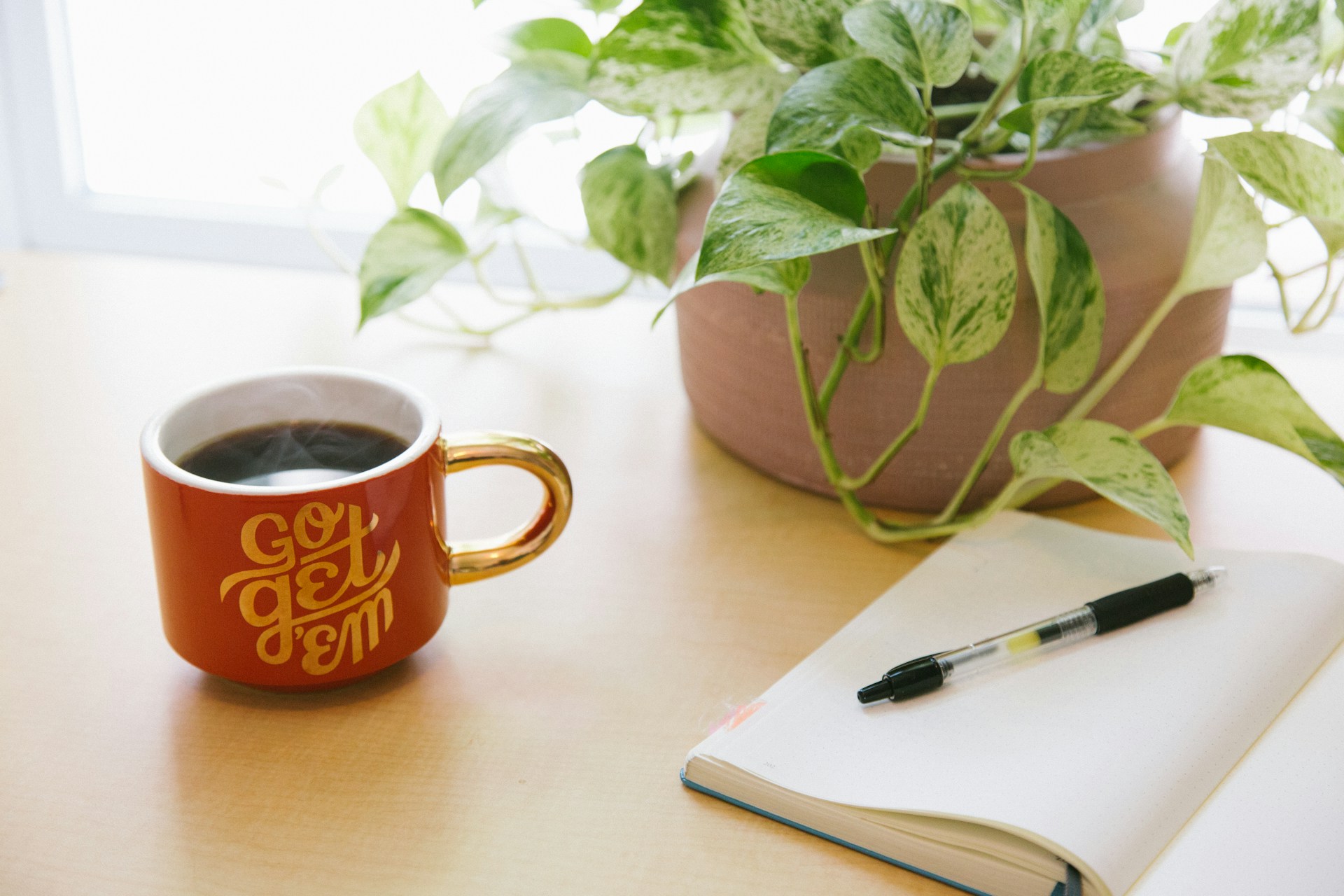 a desk with a pot holding a plant, a mug saying